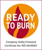 Ready to burn logo